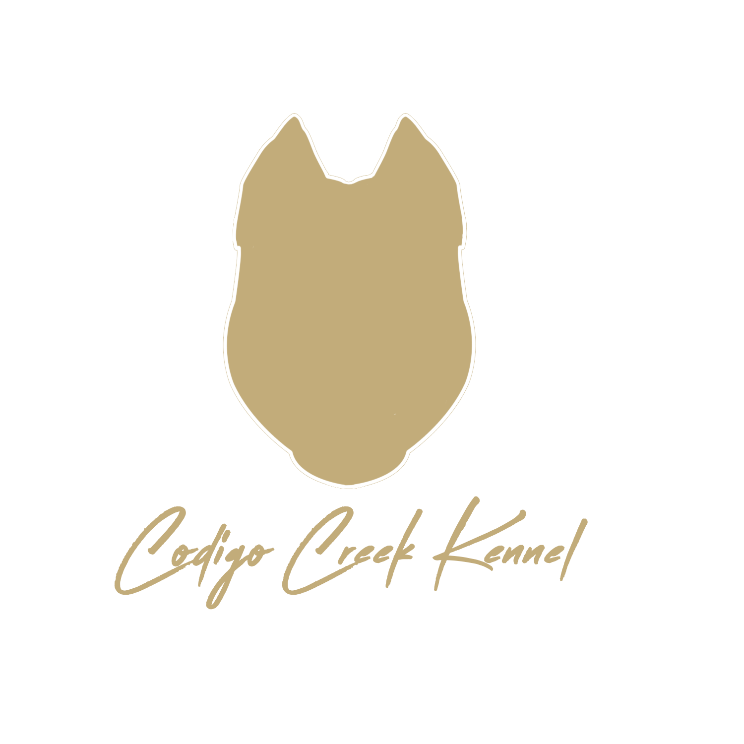 Your Business Name